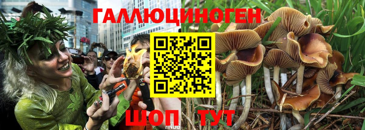 магазин продажи наркотиков  Псилоцибиновые грибы ЛСД  Вход с VPN  Галлюциногенные грибы Psilocybine cubensis  Лесозаводск 