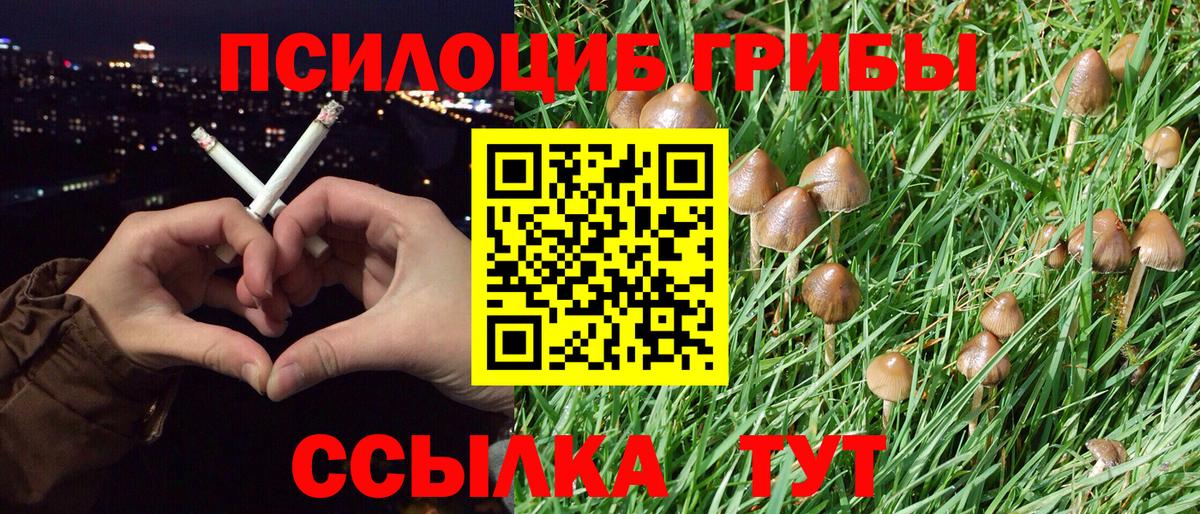 Галлюциногенные грибы мухоморы Лесозаводск